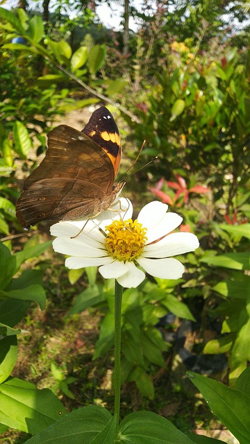 Zina nedeniyle boşanma davası ile alabileceğiniz tazminatlar 2025 hesaplama rehberi