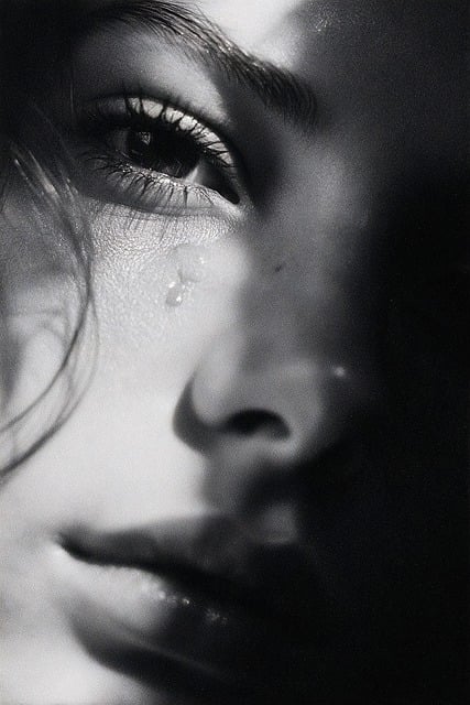 Soybağı tespit davası hangi mahkemede açılır? 2025 görevli ve yetkili mahkeme rehberi